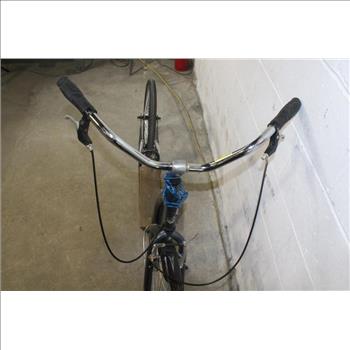 Schwinn Shuffle Bike