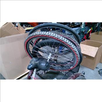 Schwinn Single Speed Tricycle