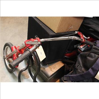 Schwinn Stingray Scooter