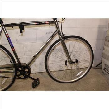 SE Bikes Single Speed Road Bike