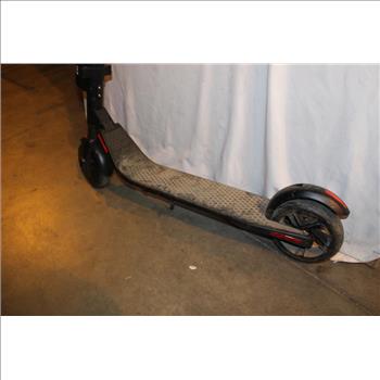 Segway Bird Spin Ninebot Electric Scooter