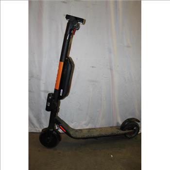 Segway Bird Spin Ninebot Electric Scooter