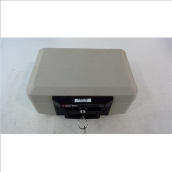 Sentry 1100 Lockbox