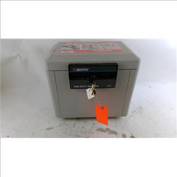 Sentry Fire- Safe Media File