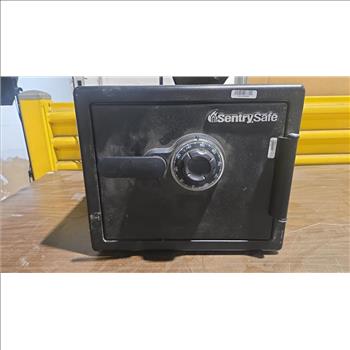 Sentry Safe- Safe