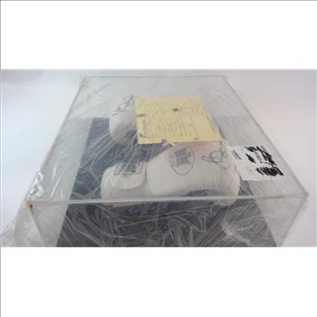 Signed Boxing Gloves