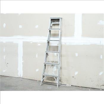 Silver Step Ladder