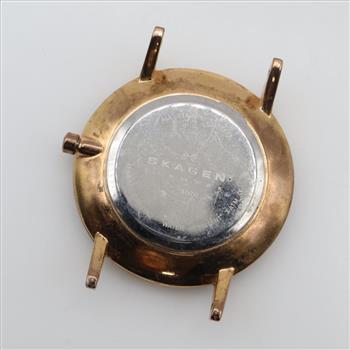 Skagen Denmark Watch