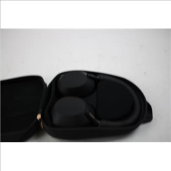 Sony  Headphones In Case