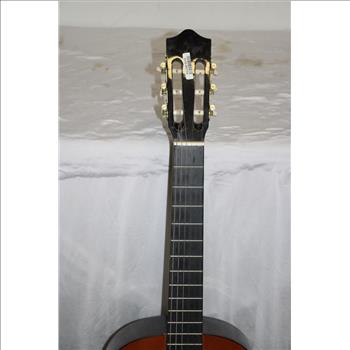 Stagg  Acoustic Guitar
