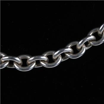 Sterling Silver Rolo Link Necklace