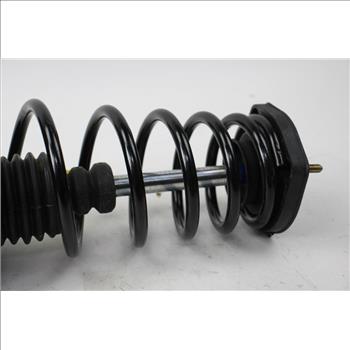 Suspension Strut And Coil Spring Assembly