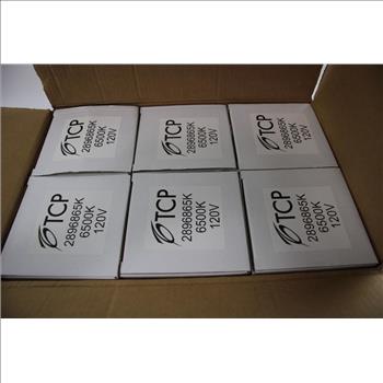 TCP Full Springlamp 6500K 120V, 6 Pieces