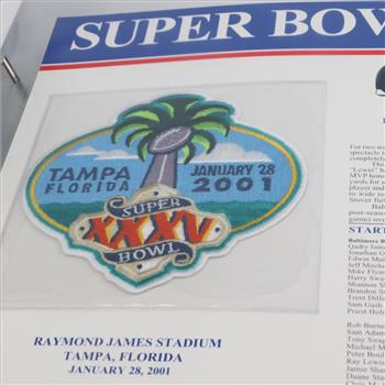 The Official NFL Super Bowl Patch Collection