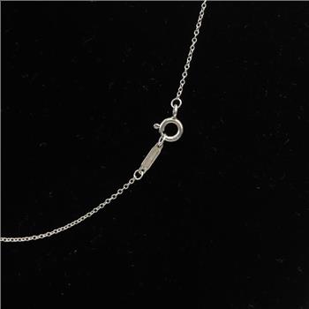 Tiffany & Co. Sterling Silver Necklace