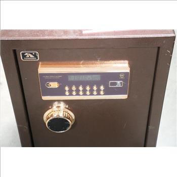 Tiger King Digital Safe, Keys Included