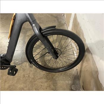 Trek E-Bike