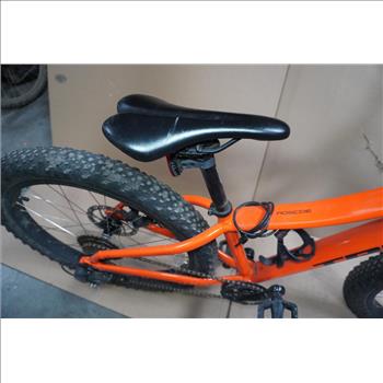 Trek Mountain Bike