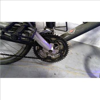 Trek Mountain Bike