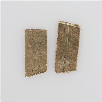Two 10kt Gold Pieces