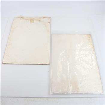 Two Marvel Fantastic-Four Comics