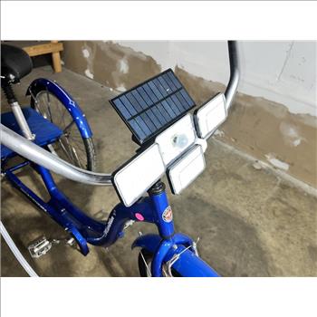 Unknown Adult Tricycle