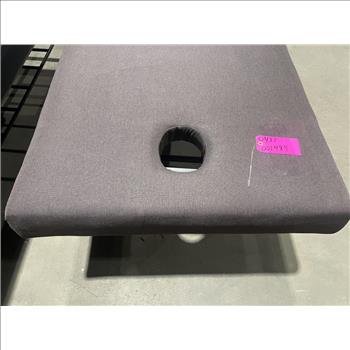 Unknown Brand Massage Table