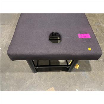 Unknown Brand Massage Table