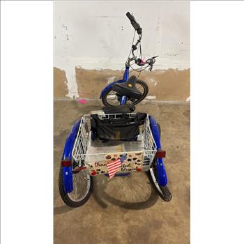 Unknown Trike 3-Wheeled