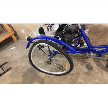 Unknown Trike 3-Wheeled