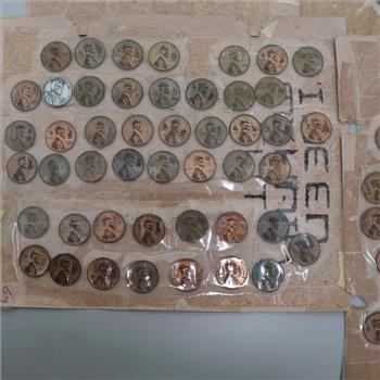 US Pennies, 1+lbs - Includes Steel and Indian Head Pennies