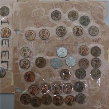 US Pennies, 1+lbs - Includes Steel and Indian Head Pennies