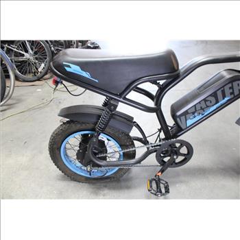 VASTER Youth E-Bike