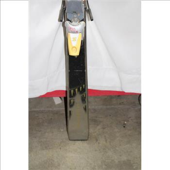 Volant Downhill Ski's Silver / Black