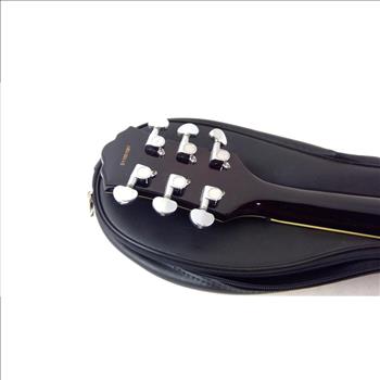 Washburn Electric Guitar