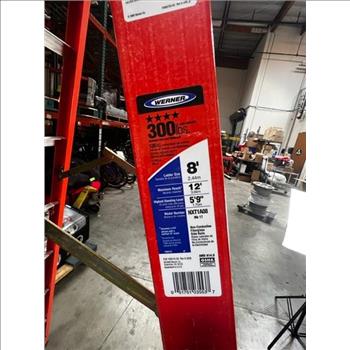 Werner 12FT Ladder