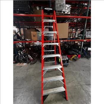 Werner 12FT Ladder
