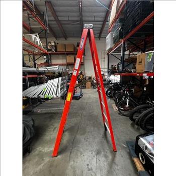 Werner 12FT Ladder