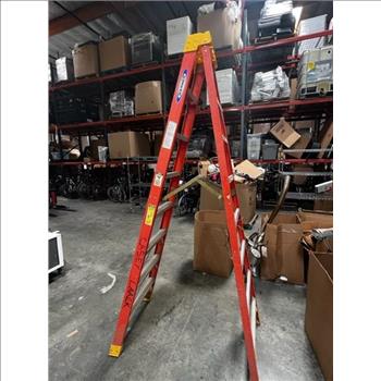 Werner 12ft Ladder