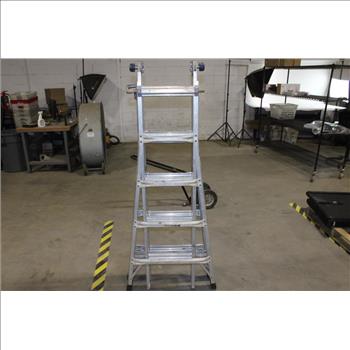 Werner 21' Ladder