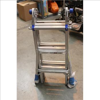 Werner 300 Lbs 13 Foot Ladder