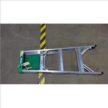 Werner 4 Foot 225lb Ladder