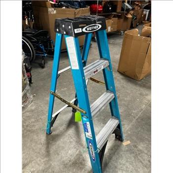 Werner 4FT Ladder