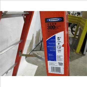 Werner 5' Step Ladder
