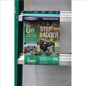 Werner 6 Foot Ladder