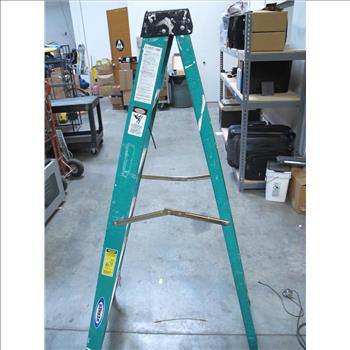 Werner 6 Foot Ladder
