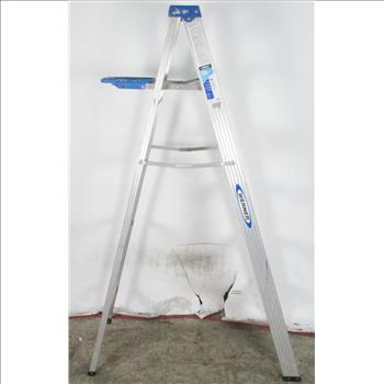 Werner 6' Ladder