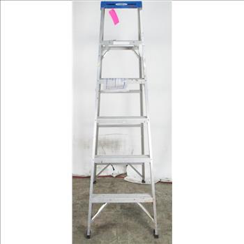 Werner 6' Ladder