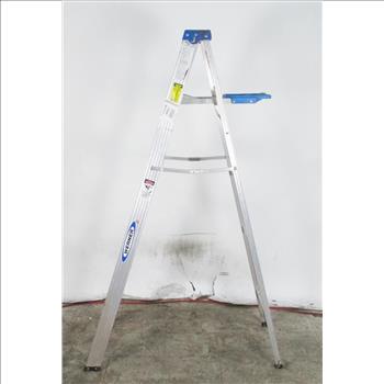 Werner 6' Ladder