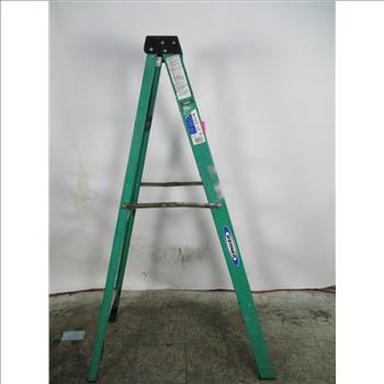 Werner 6' Step Ladder